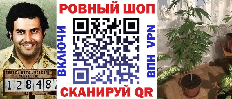 Где продают наркотики Бабаево СОЛЬ  Канабис  Меф мяу мяу  ГАШ  КОКАИН 
