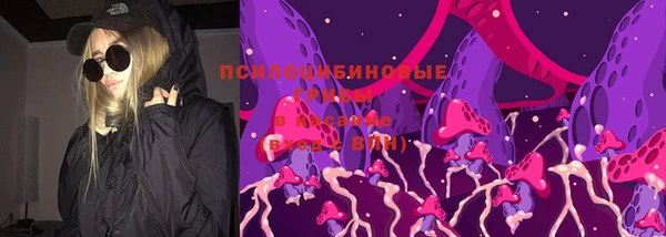 герыч Алзамай