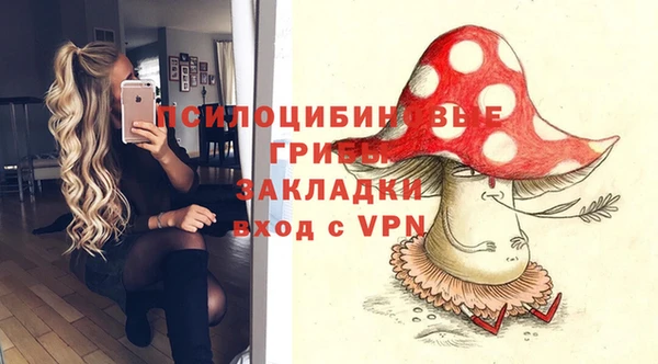 таблы Алексин
